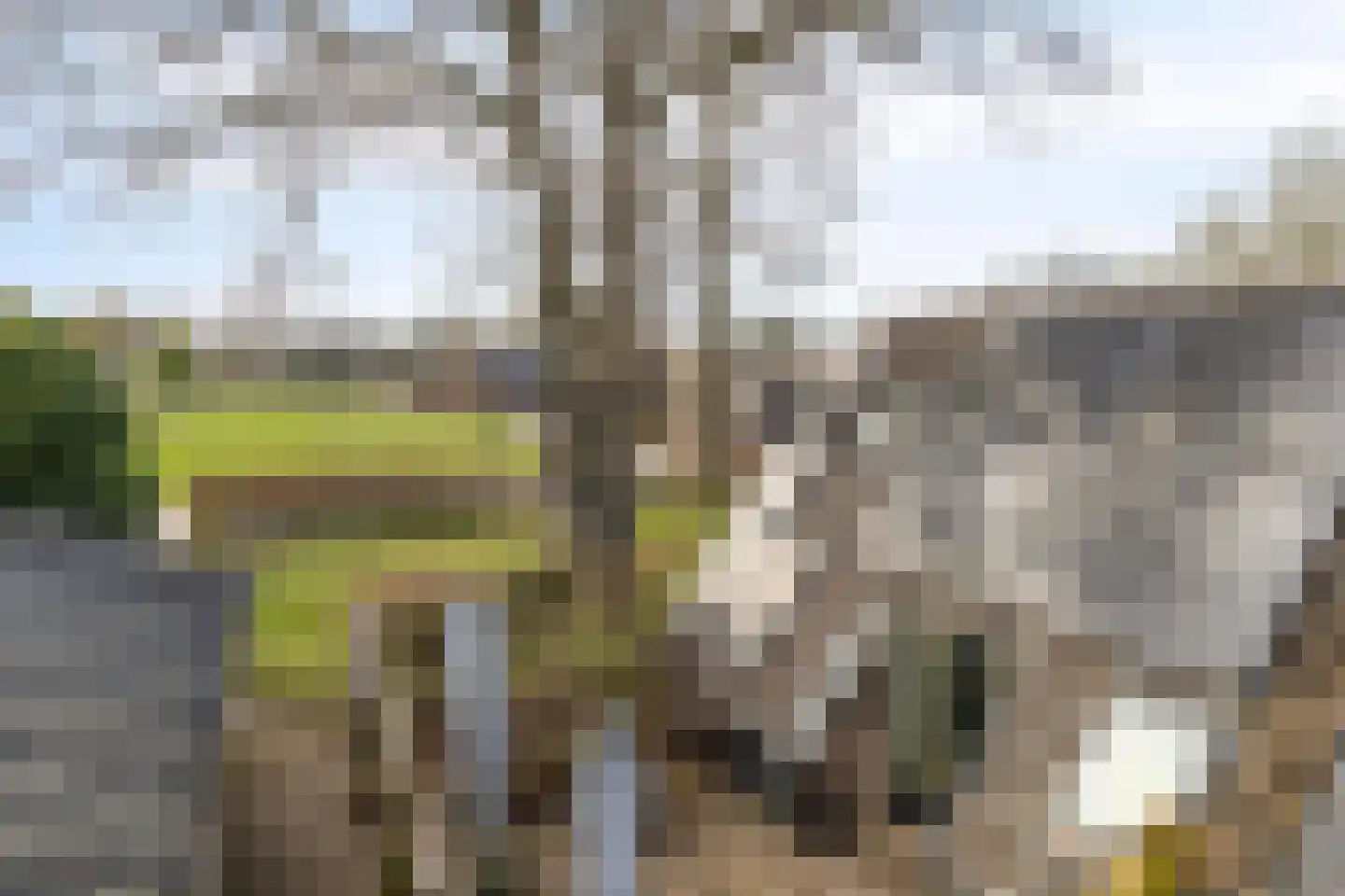 Nijstad 13 Dwingeloo thumbnail 48