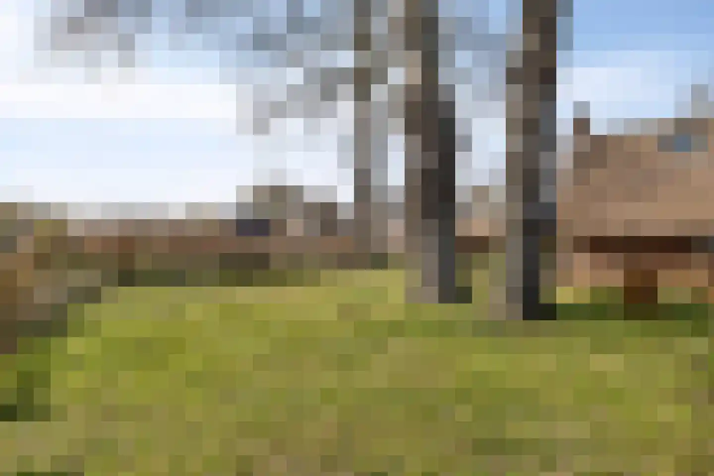 Nijstad 13 Dwingeloo thumbnail 51