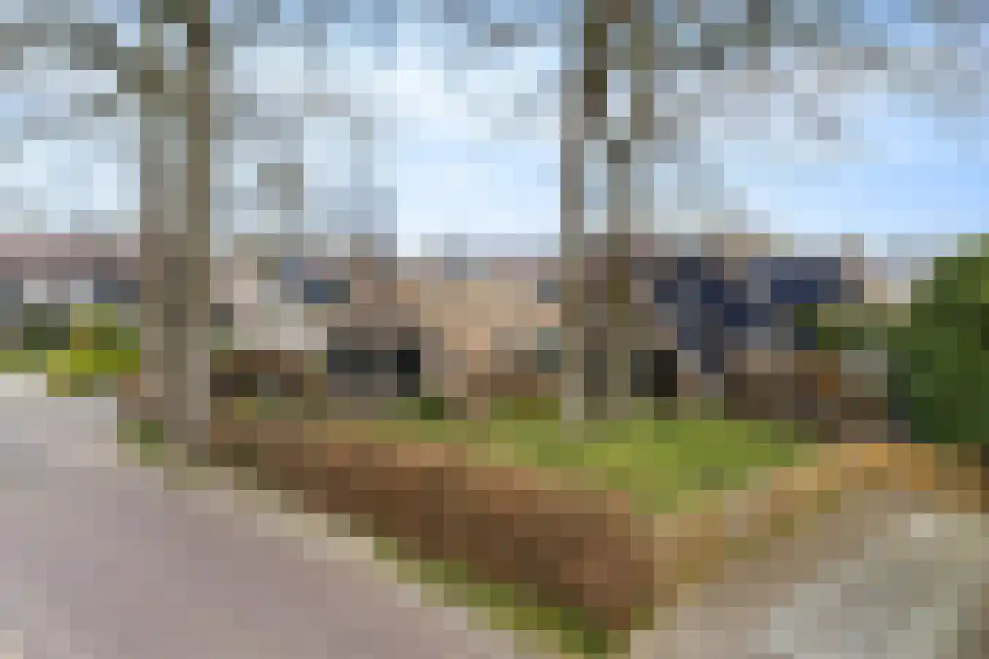 Nijstad 13 Dwingeloo thumbnail 54