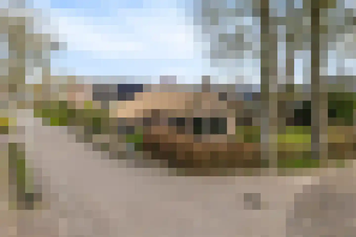 Nijstad 13 Dwingeloo thumbnail 55