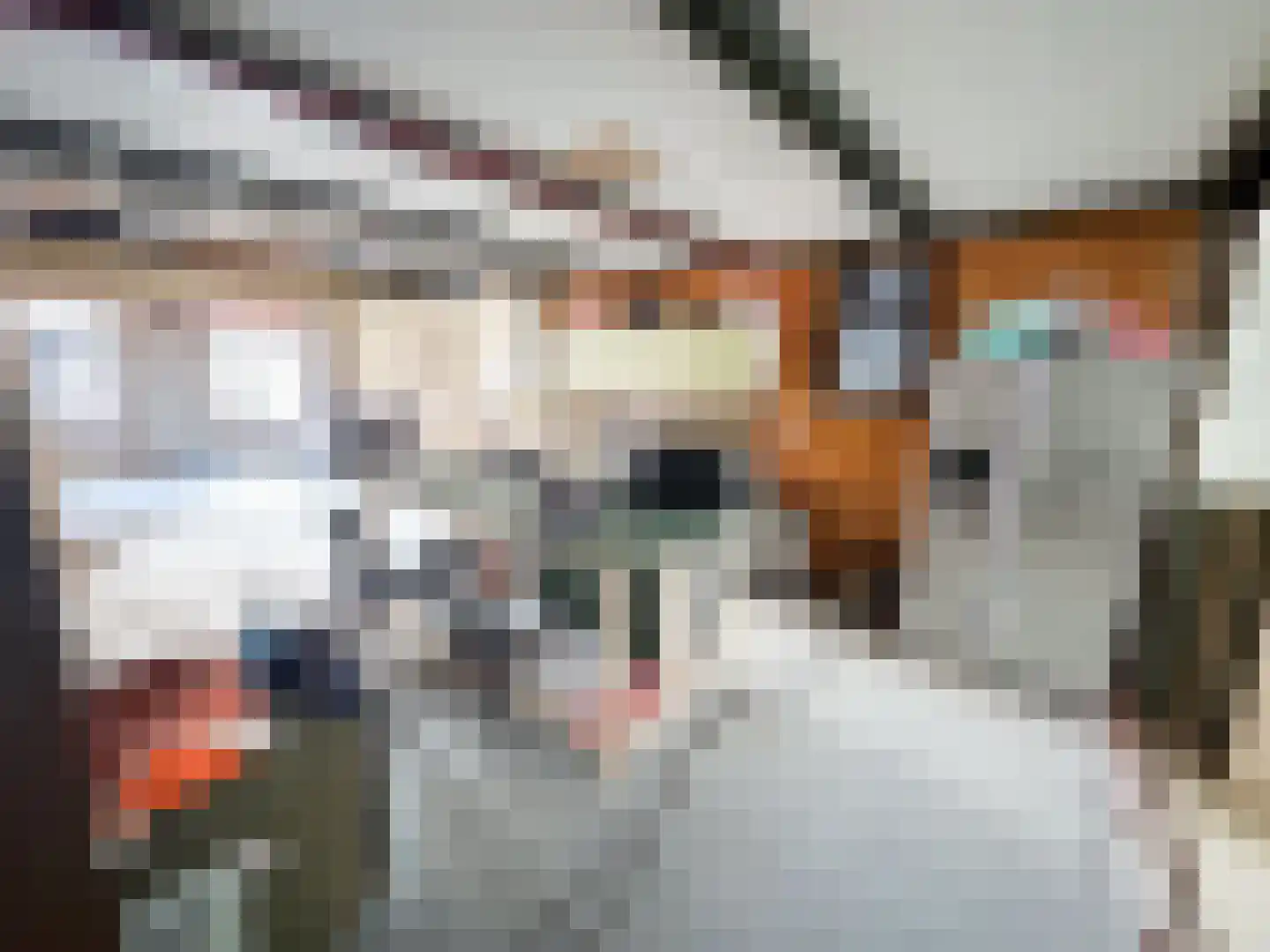 Nijstad 19 Genemuiden thumbnail 11
