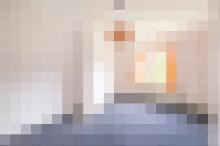 Nijstad 19 Genemuiden thumbnail 32