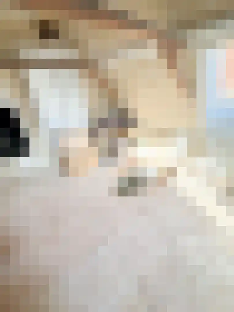 Nijstad 19 Genemuiden thumbnail 36