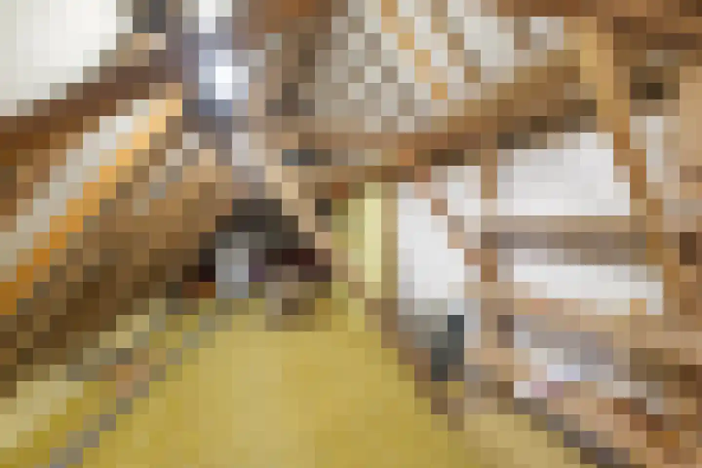 Nijstad 19 Genemuiden thumbnail 38