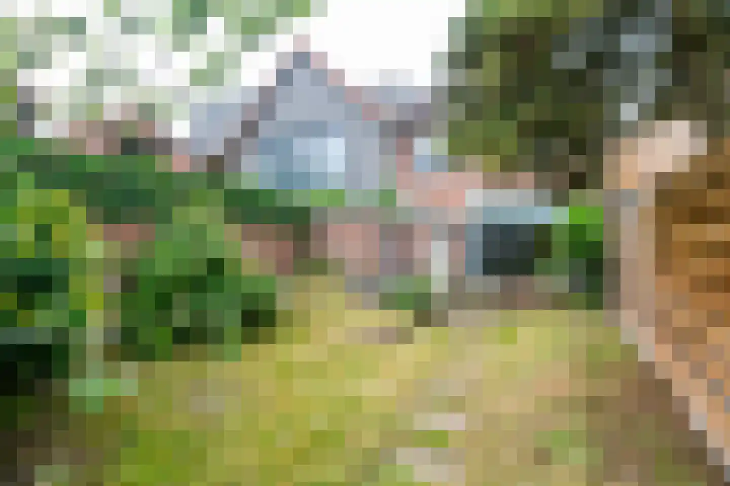 Nijstad 19 Genemuiden thumbnail 4