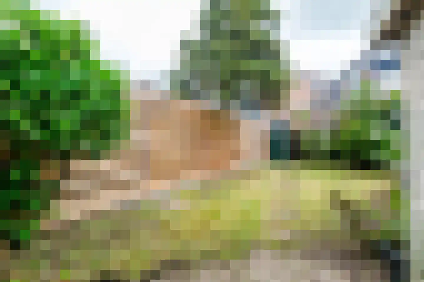 Nijstad 19 Genemuiden thumbnail 40