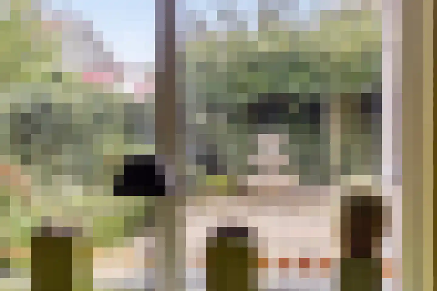 Nijstad 2 b Dwingeloo thumbnail 18