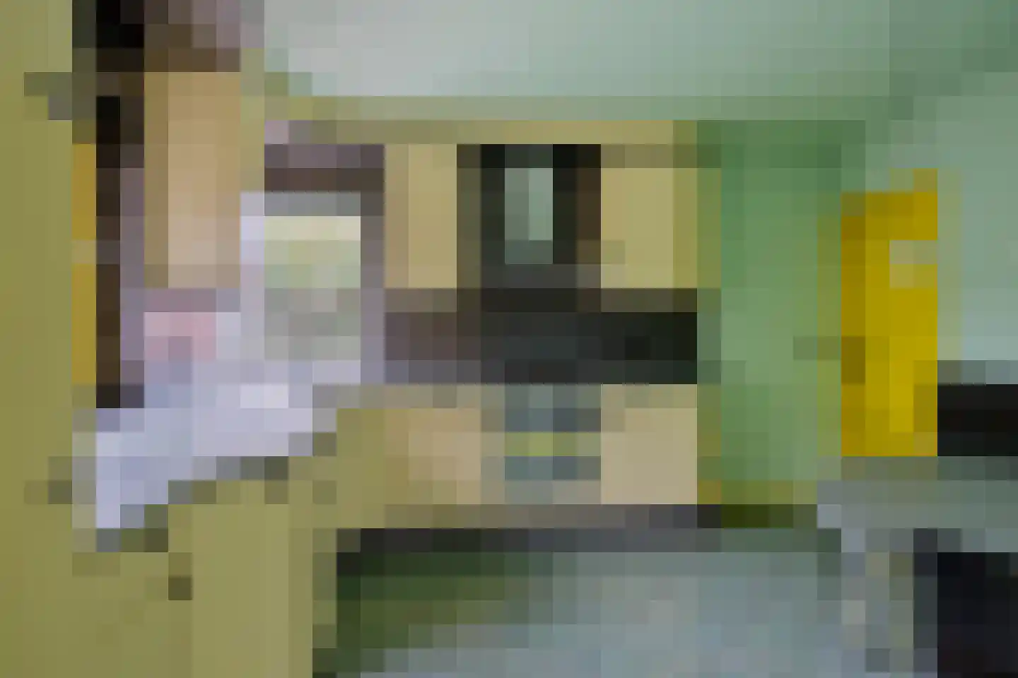 Nijstad 2 b Dwingeloo thumbnail 19