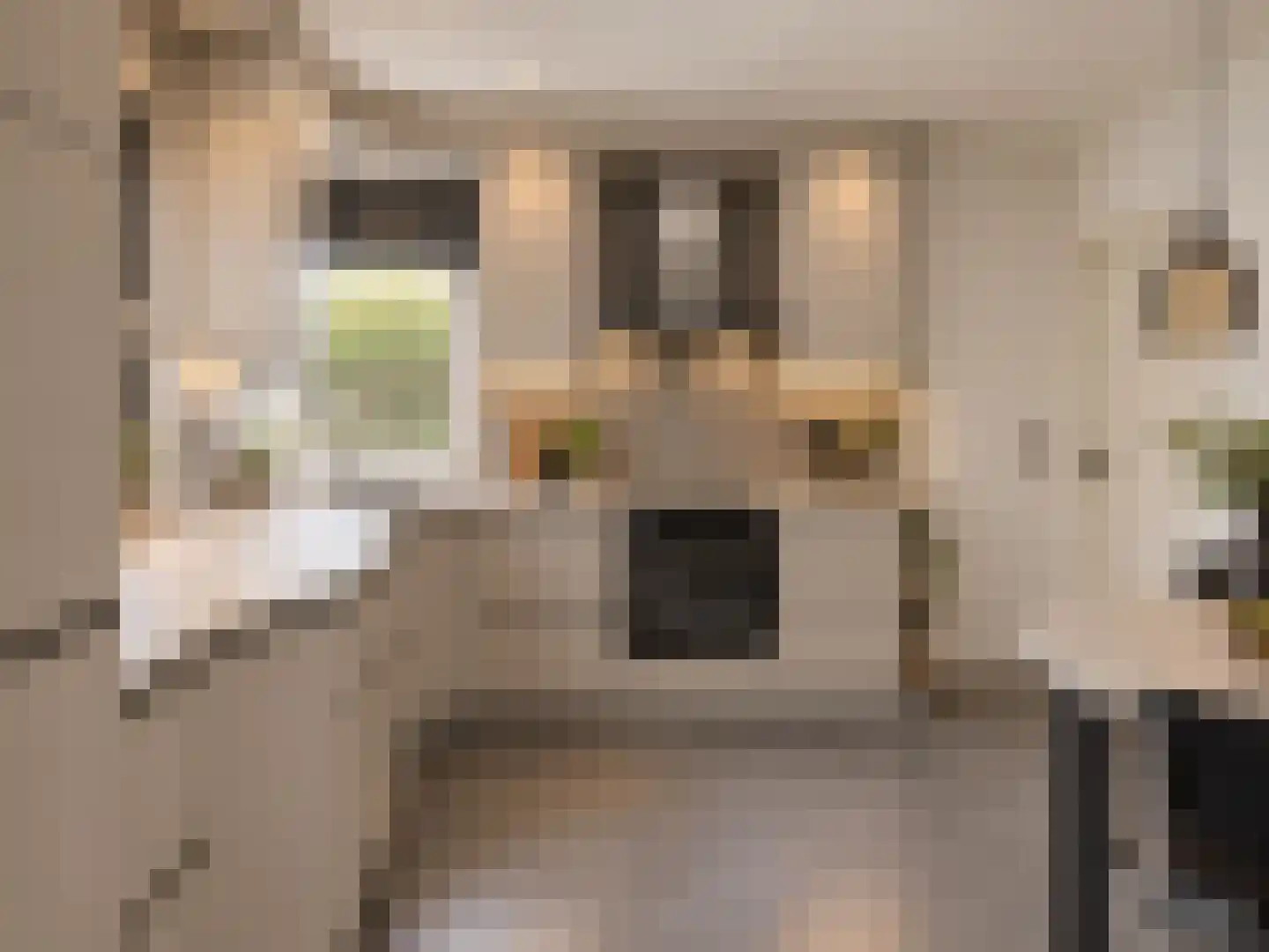 Nijstad 2 b Dwingeloo thumbnail 20