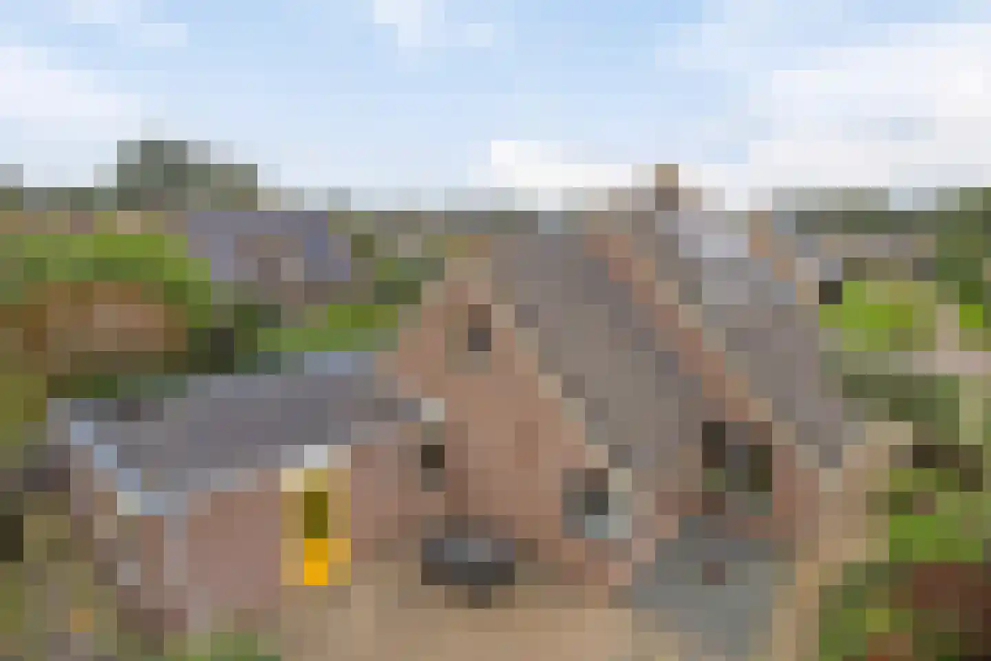Nijstad 2 b Dwingeloo thumbnail 48