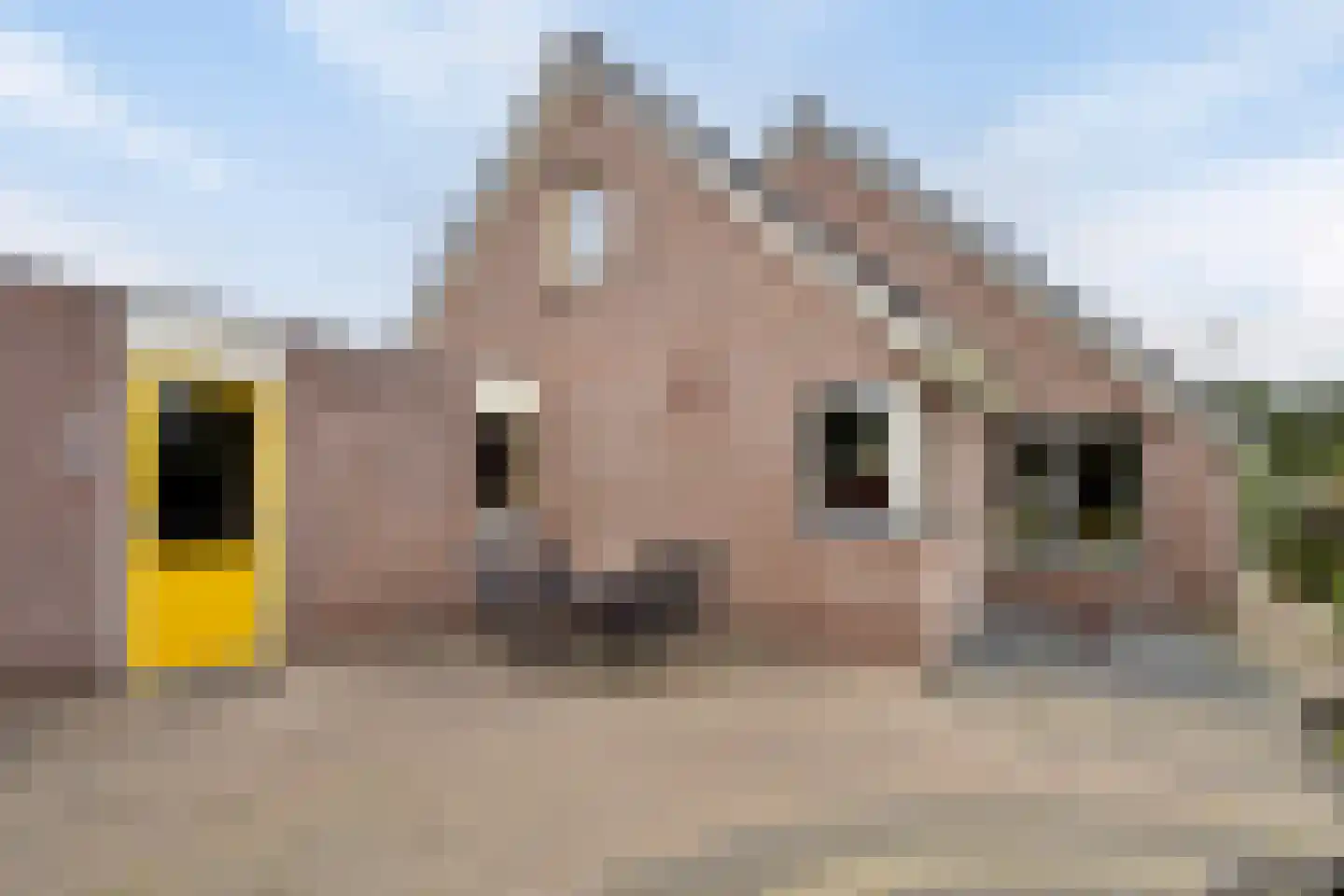 Nijstad 2 b Dwingeloo thumbnail 51