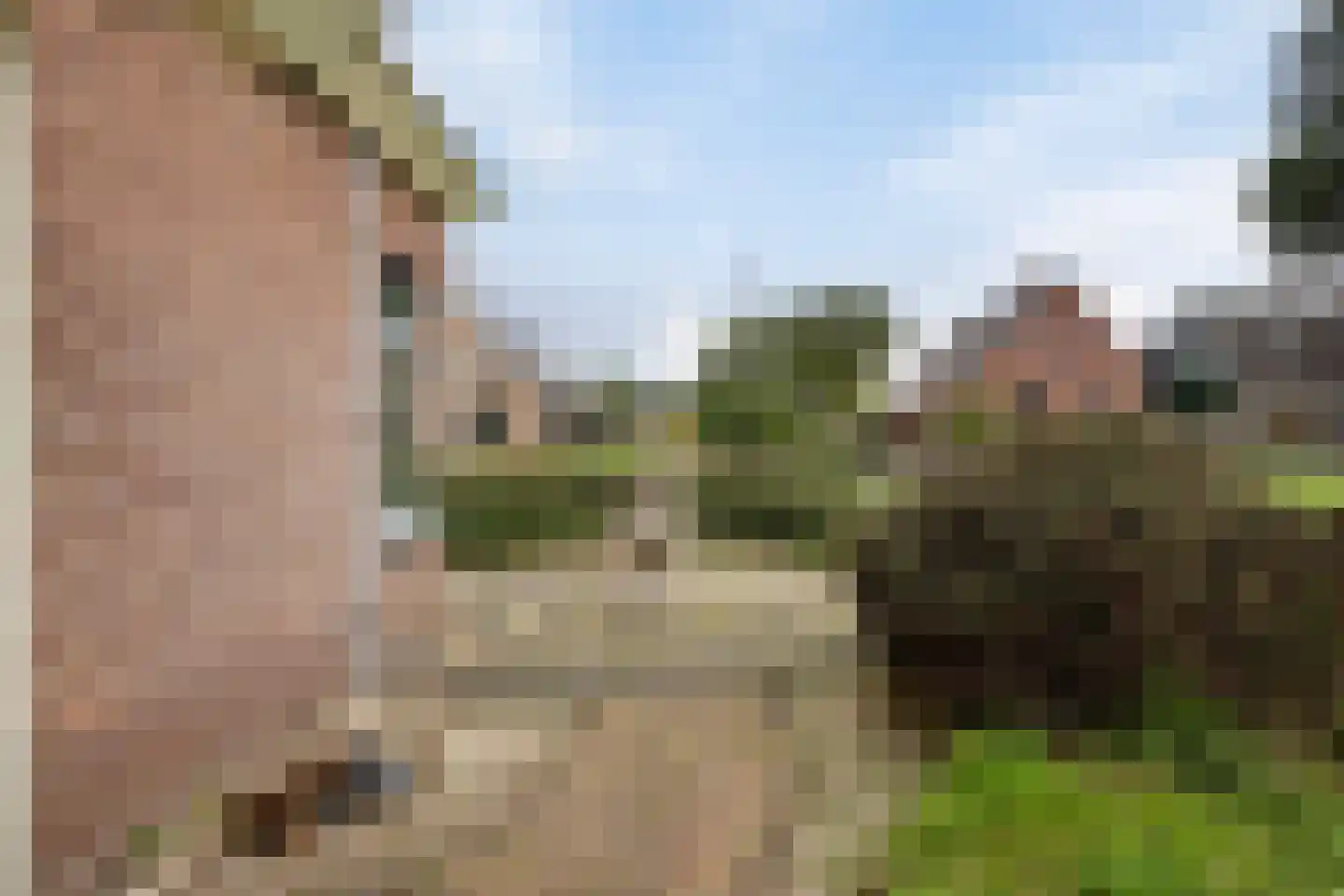 Nijstad 2 b Dwingeloo thumbnail 54