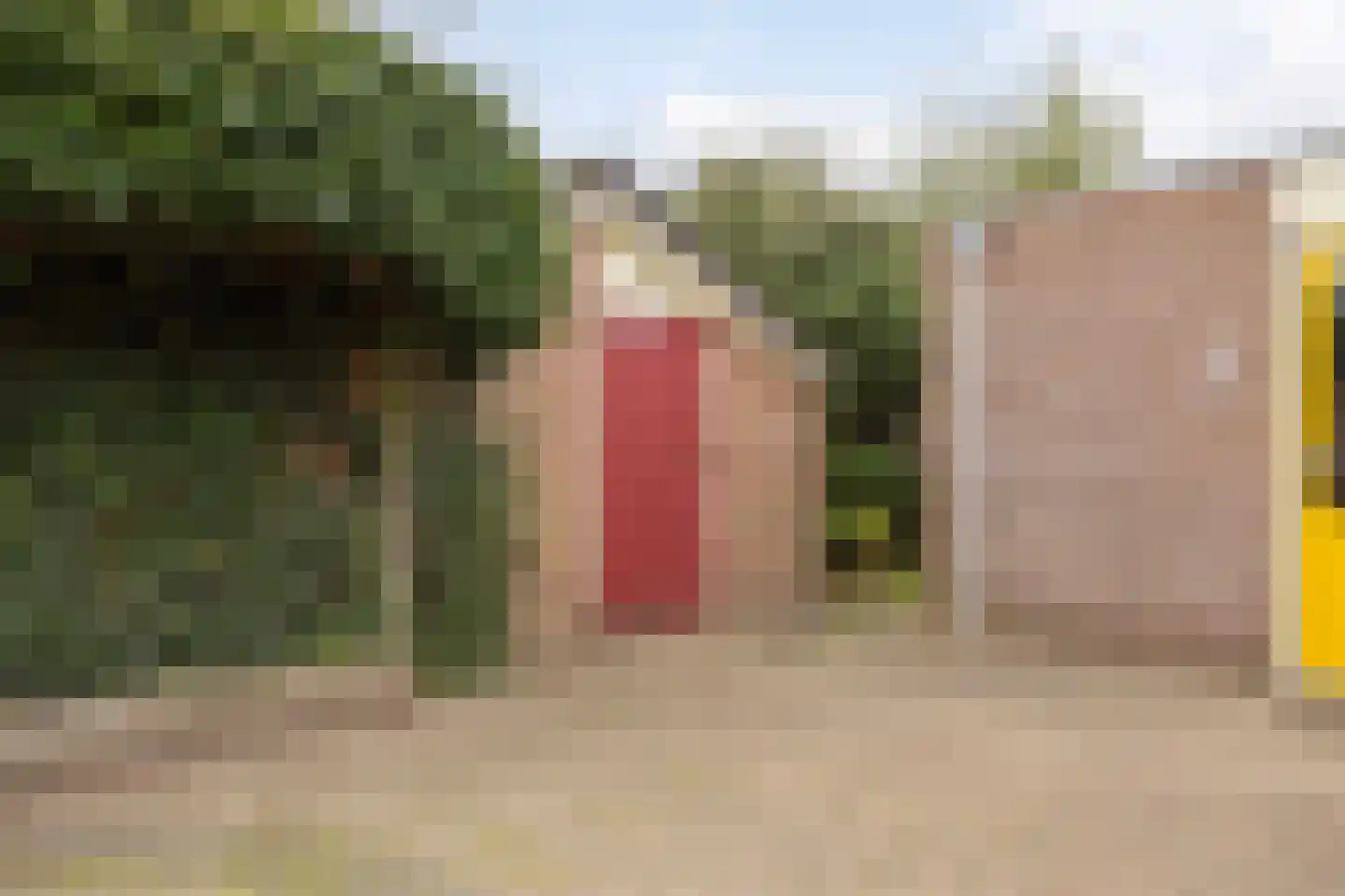 Nijstad 2 b Dwingeloo thumbnail 56