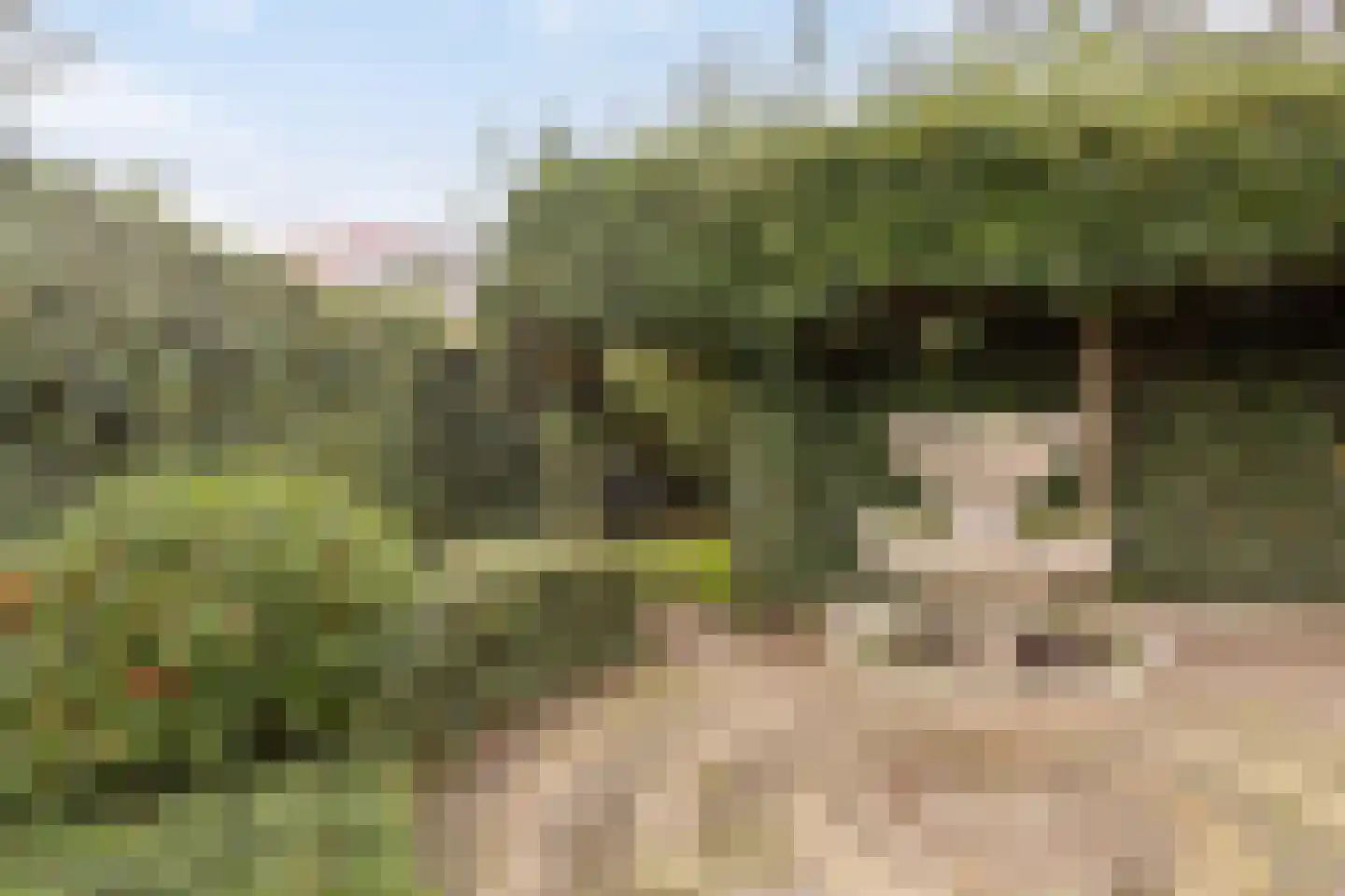 Nijstad 2 b Dwingeloo thumbnail 57