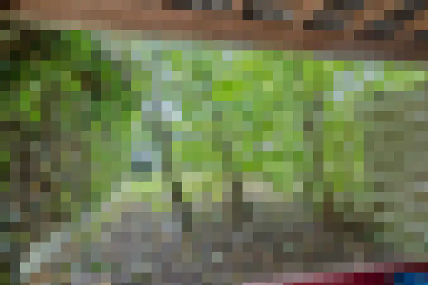 Nijstad 2 b Dwingeloo thumbnail 61