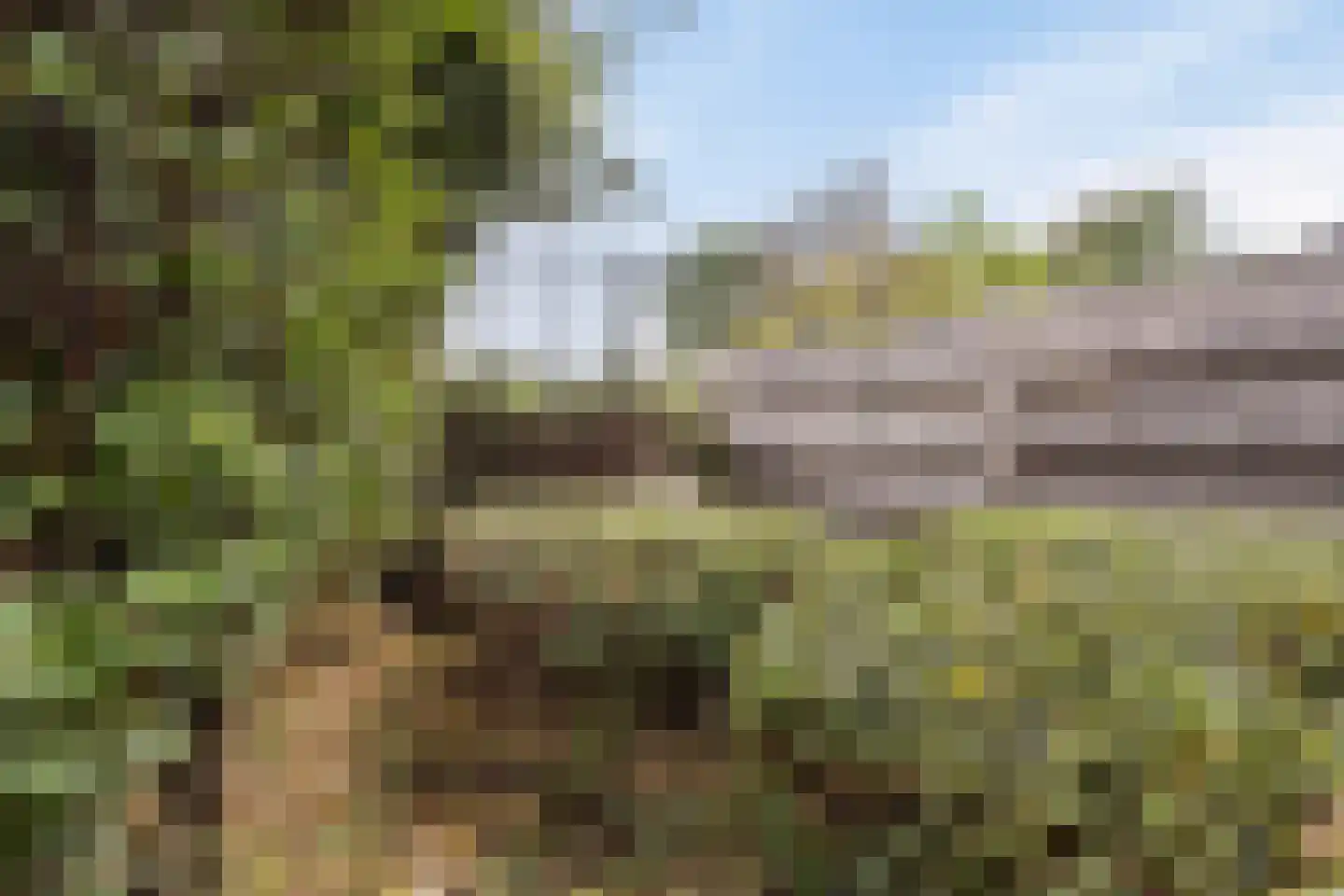 Nijstad 2 b Dwingeloo thumbnail 62