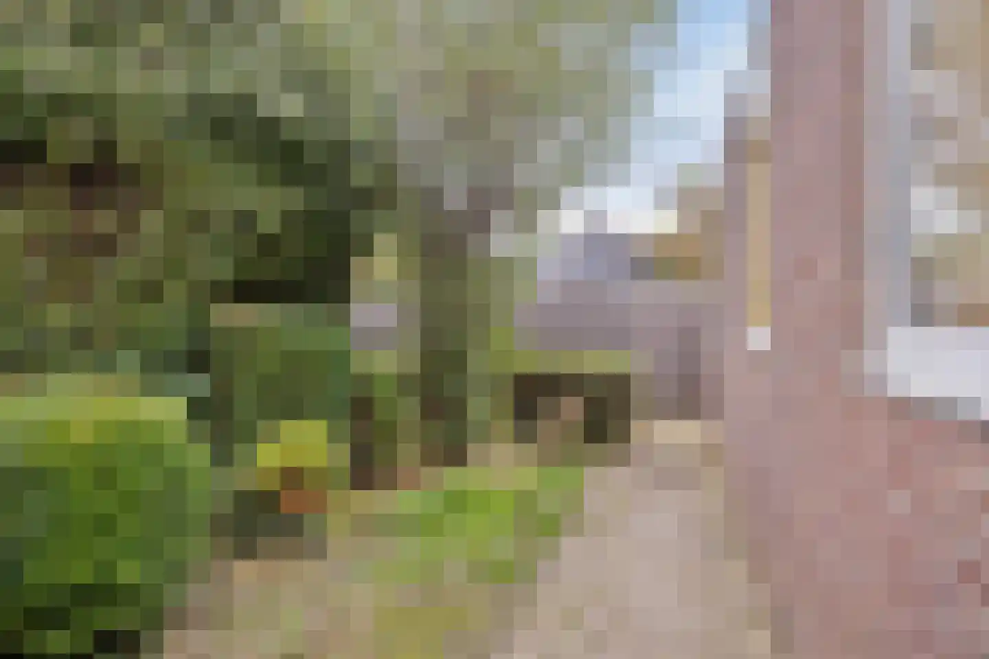 Nijstad 2 b Dwingeloo thumbnail 64