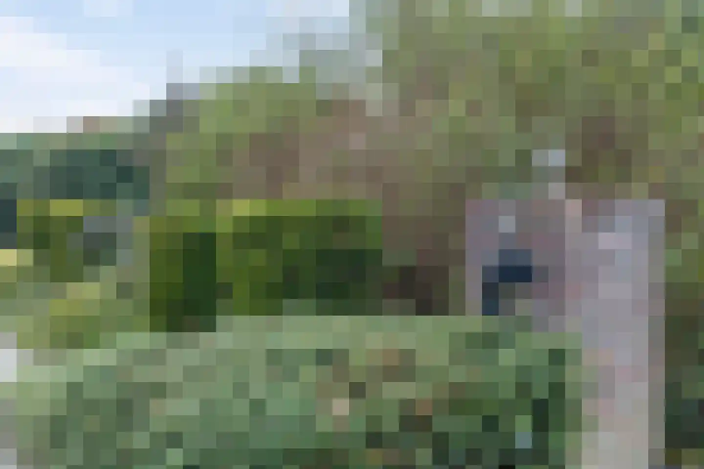 Nijstad 2 b Dwingeloo thumbnail 70