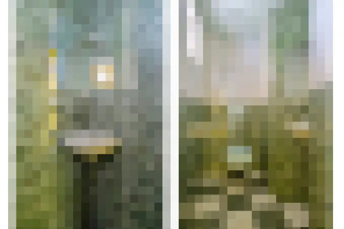 Nijstad 2 b Dwingeloo thumbnail 9