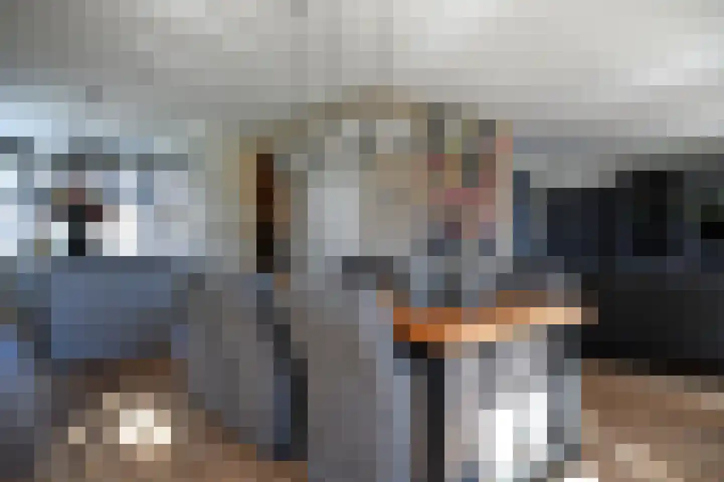 Nijstad 2 Vries thumbnail 14