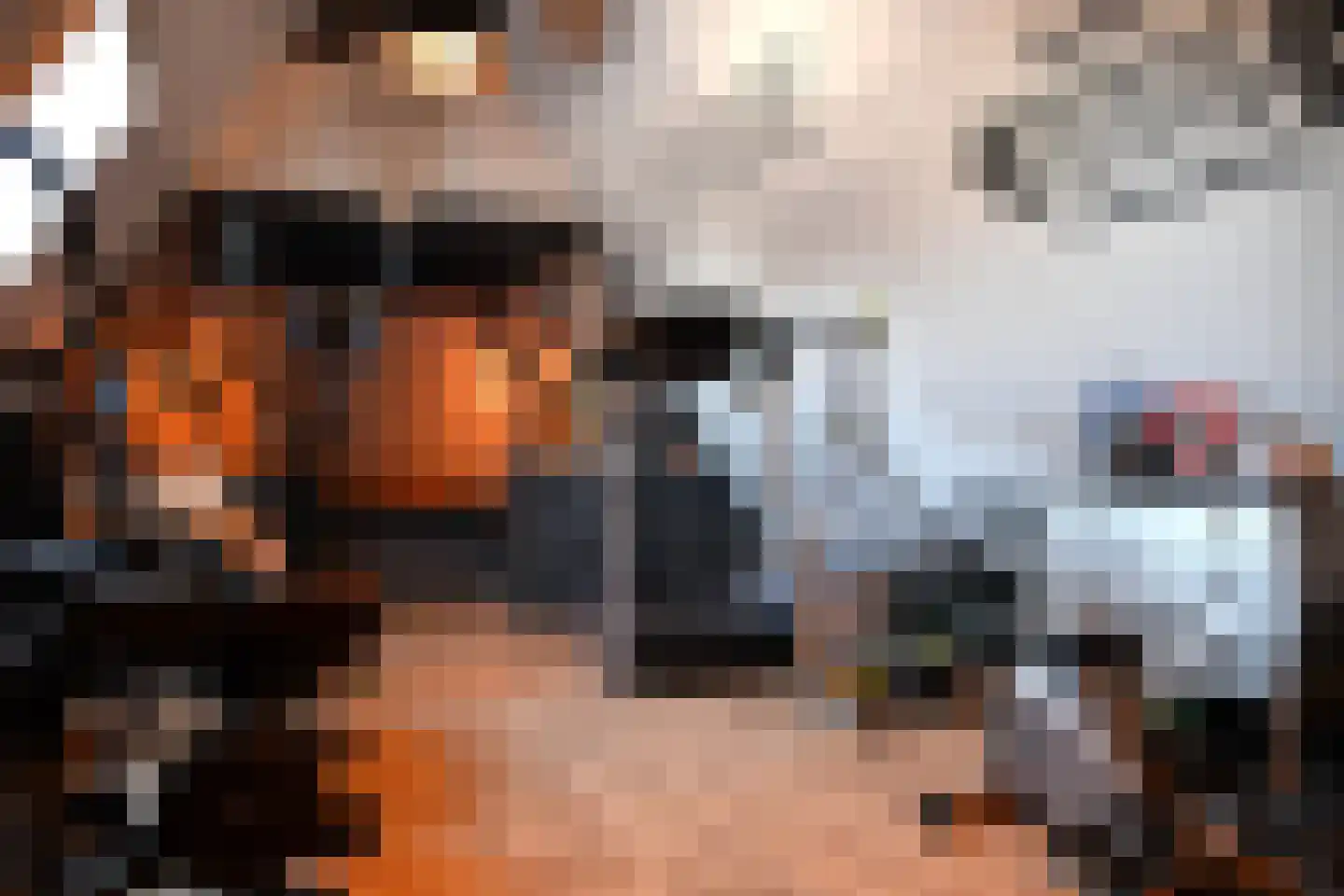 Nijstad 2 Vries thumbnail 31
