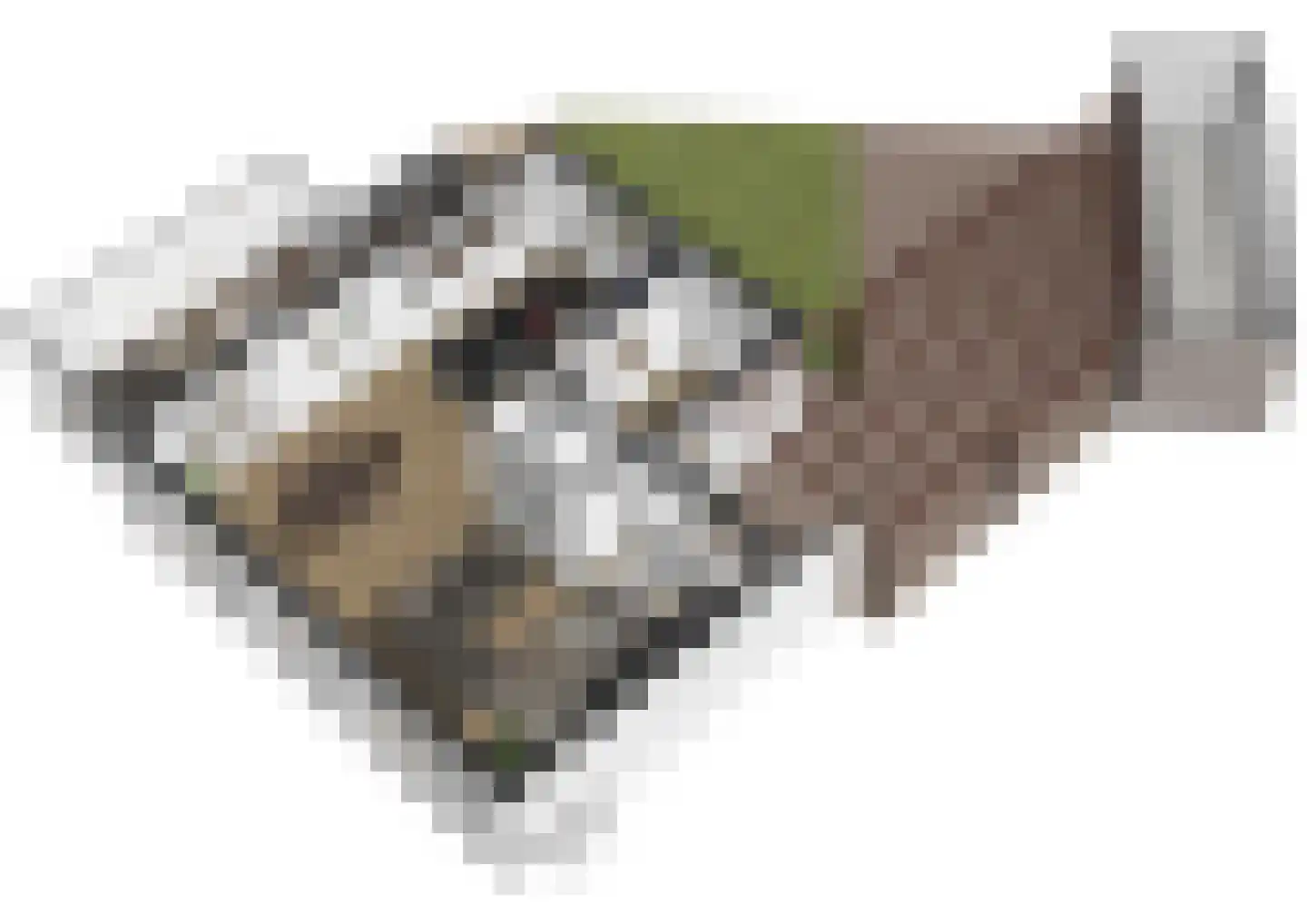 Nijstad 2 Vries thumbnail 33
