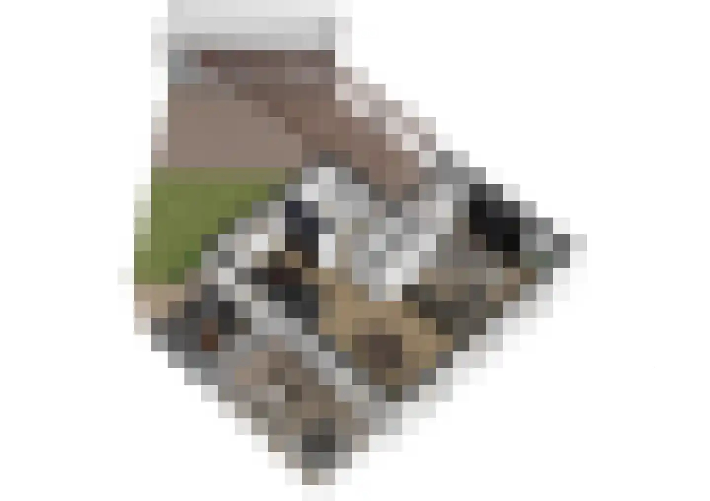 Nijstad 2 Vries thumbnail 34