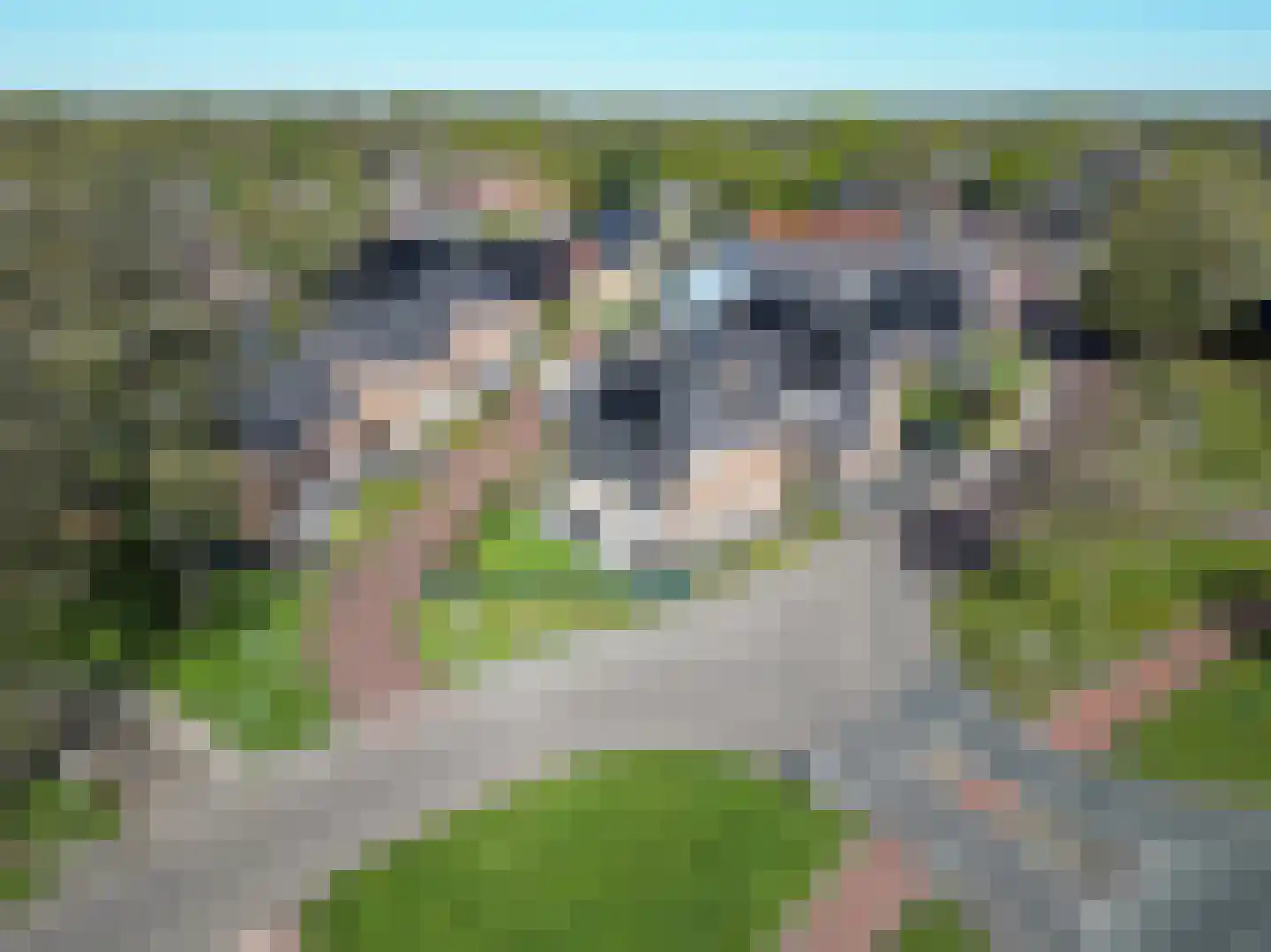 Nijstad 2 Vries thumbnail 41