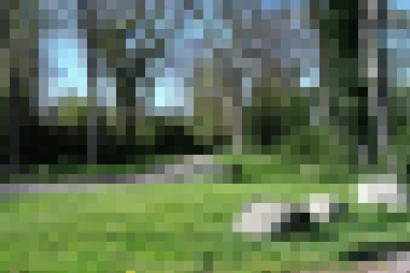 Nijstad 2 Vries thumbnail 44