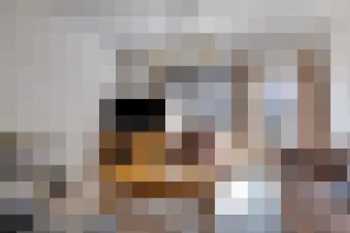 Nijstad 20 Borne thumbnail 10