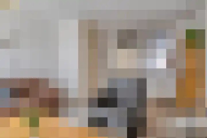 Nijstad 20 Borne thumbnail 11