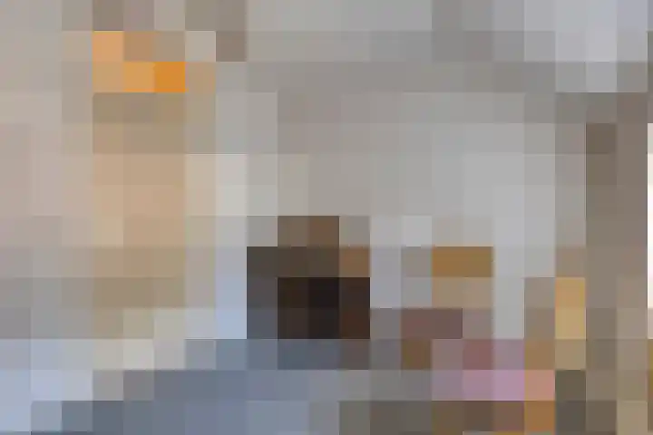 Nijstad 20 Borne thumbnail 18