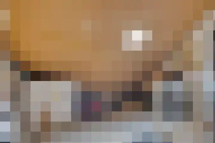 Nijstad 20 Borne thumbnail 19