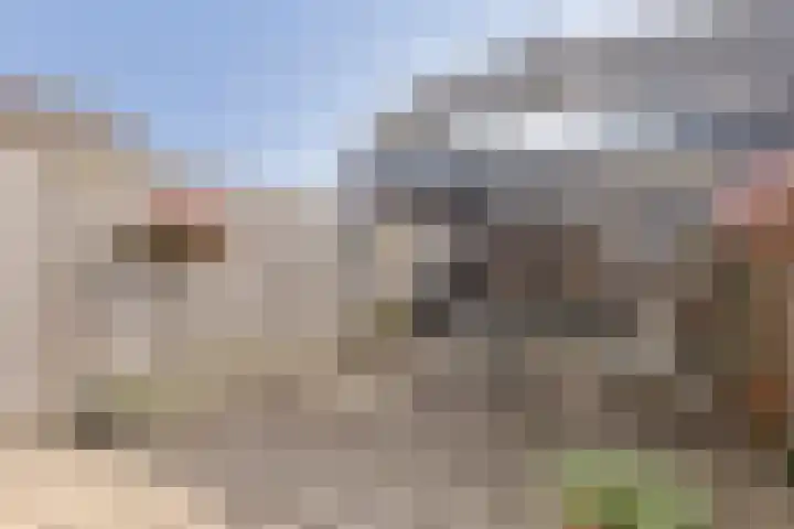 Nijstad 20 Borne thumbnail 20