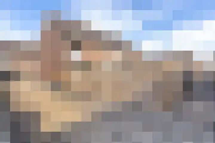 Nijstad 20 Borne thumbnail 8