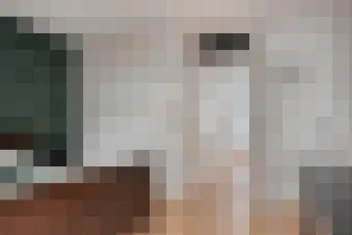 Nijstad 22 Borne thumbnail 15