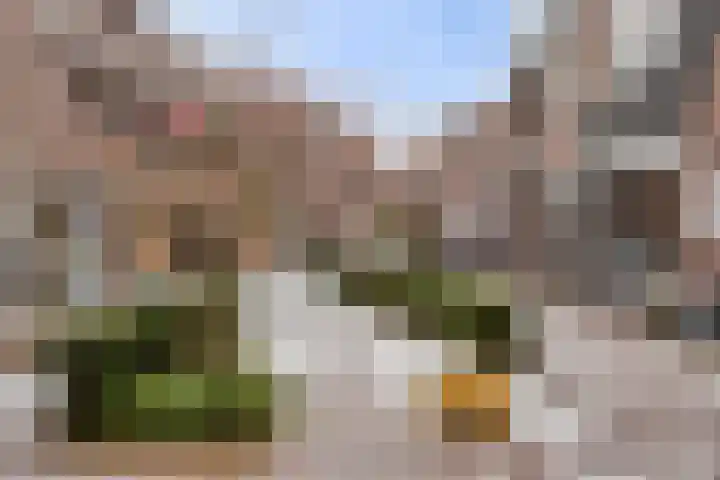 Nijstad 22 Borne thumbnail 30