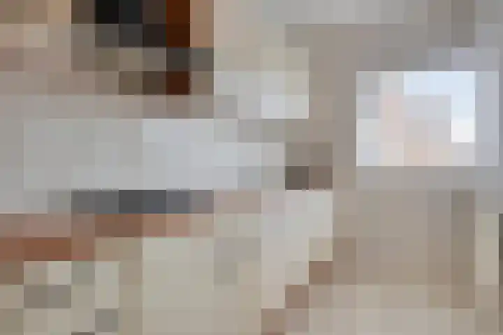 Nijstad 22 Borne thumbnail 4