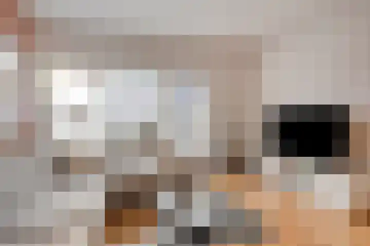 Nijstad 22 Borne thumbnail 7