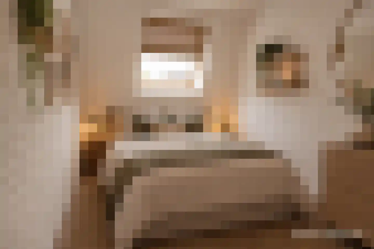 Nijstad 25 Borne thumbnail 8