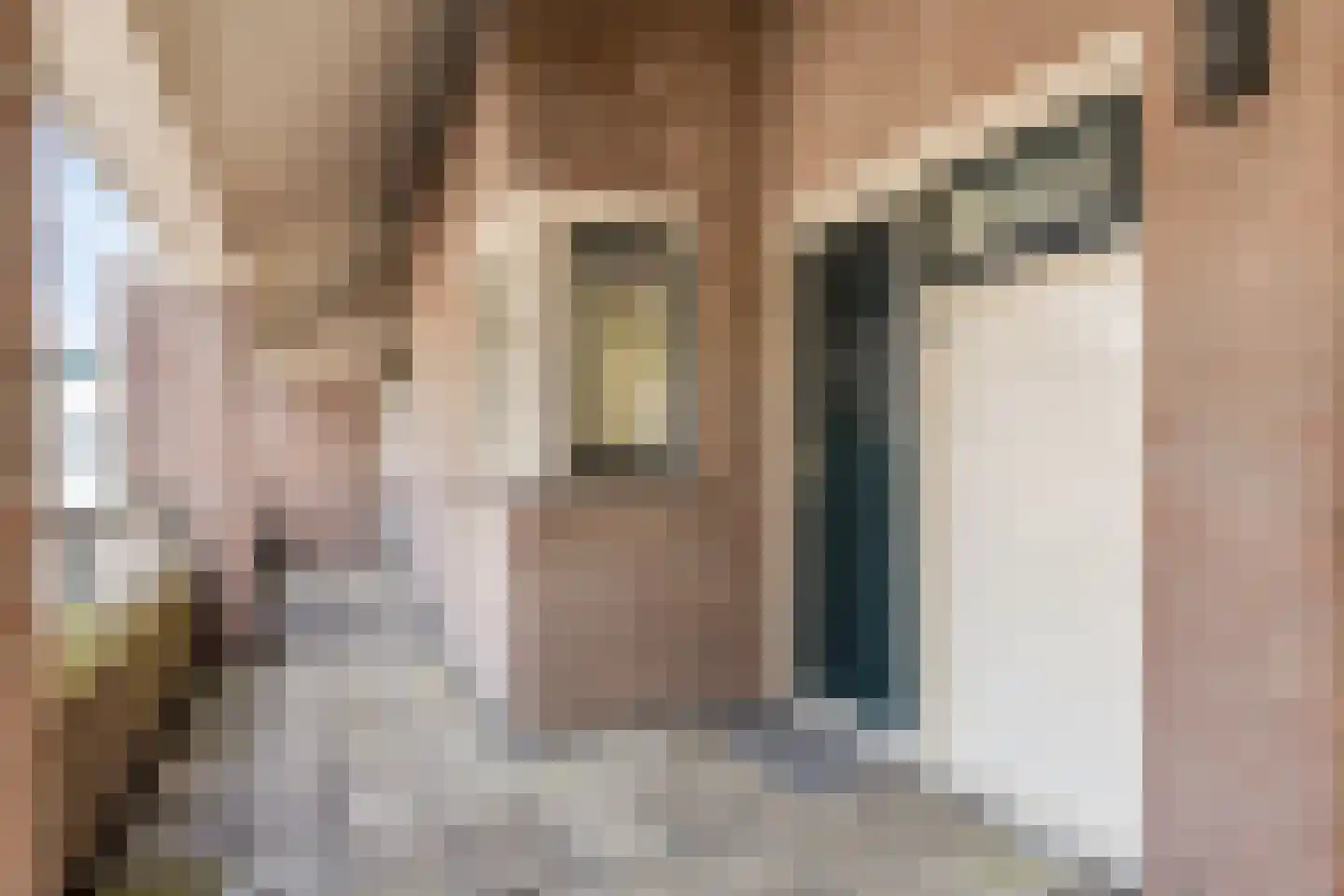 Nijstad 32 Borne thumbnail 11