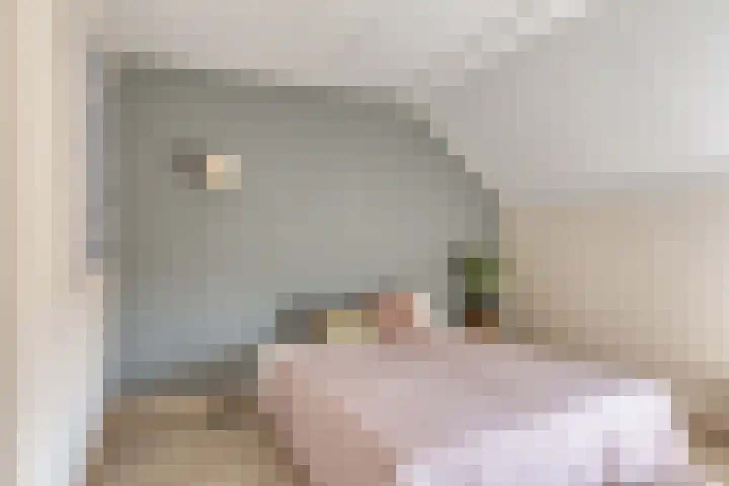 Nijstad 32 Borne thumbnail 19