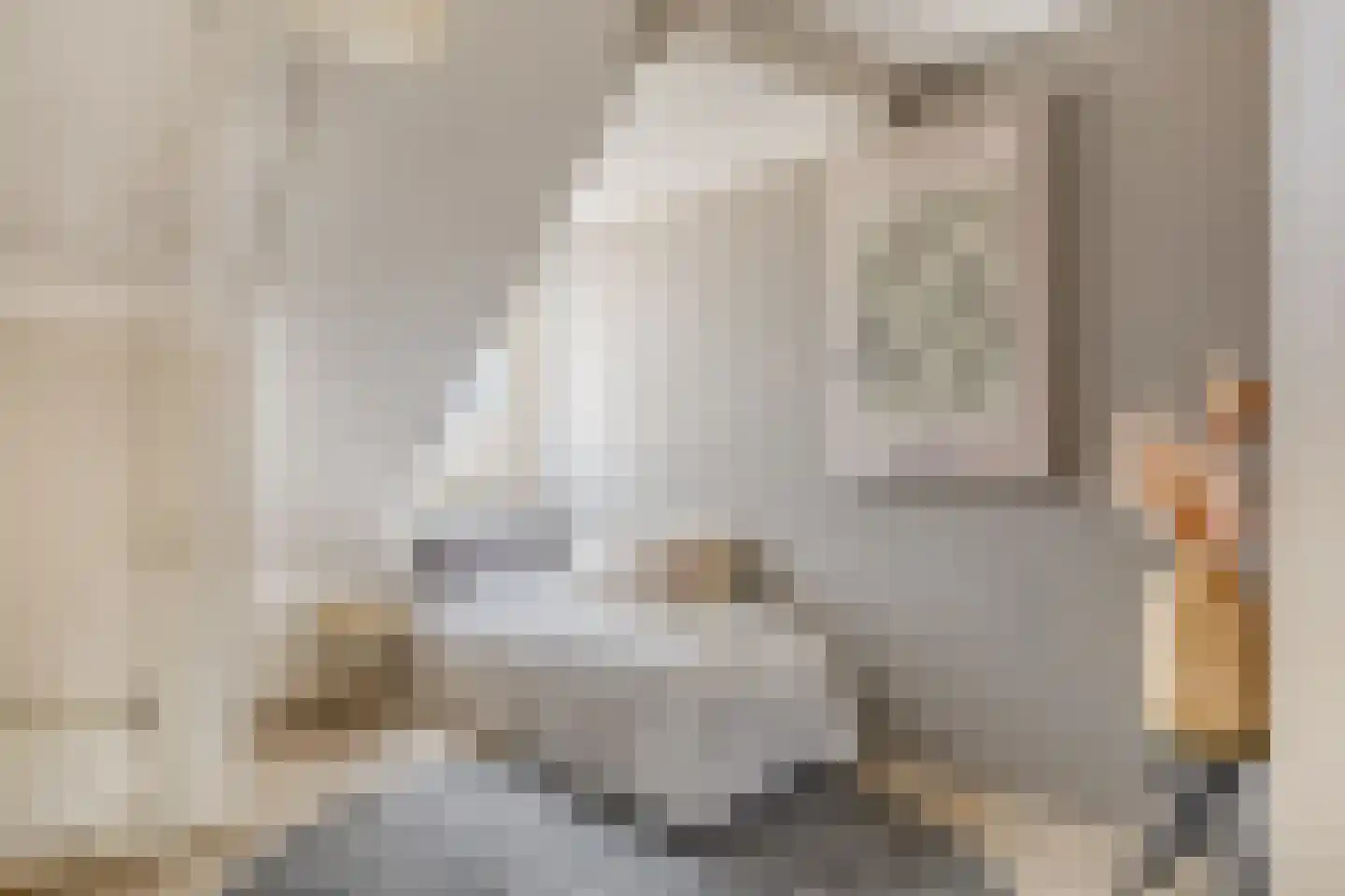 Nijstad 32 Borne thumbnail 21