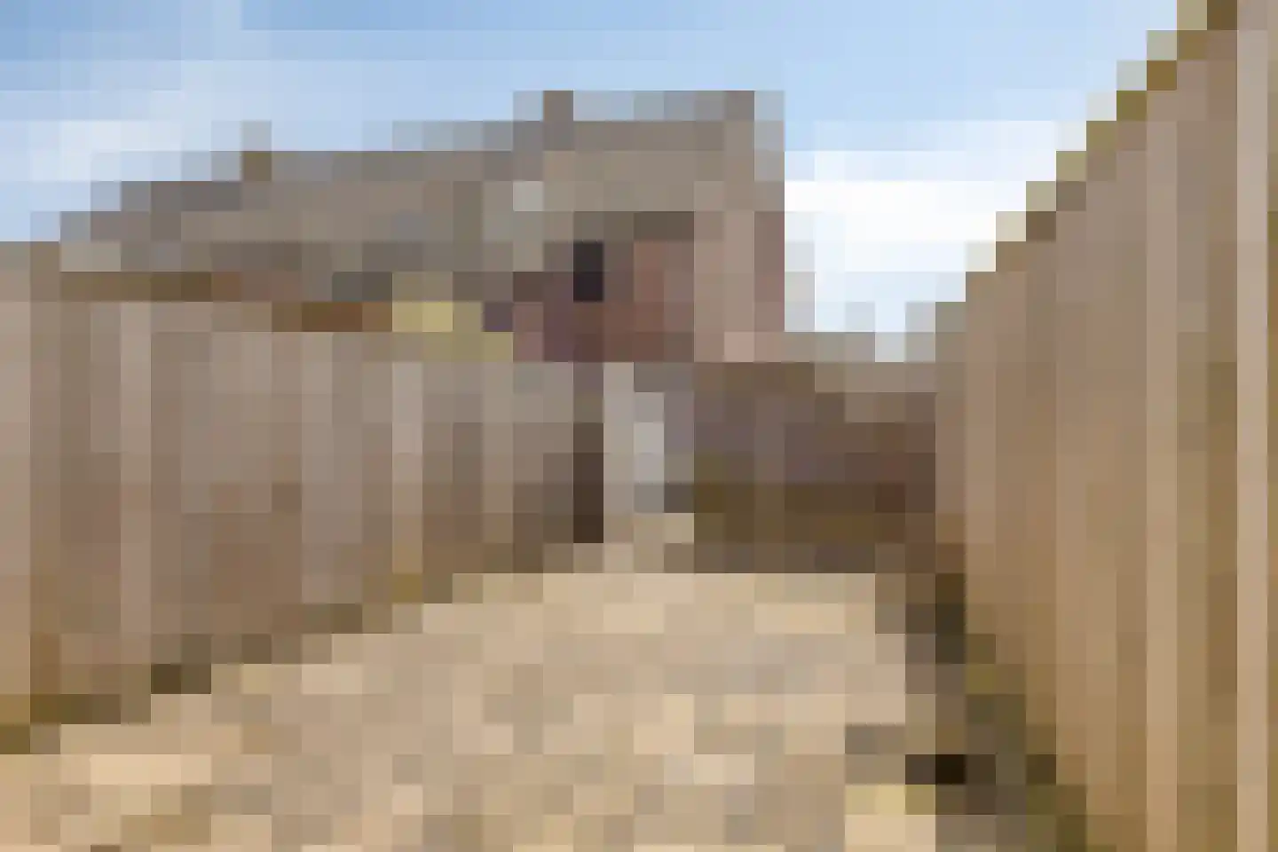 Nijstad 32 Borne thumbnail 6