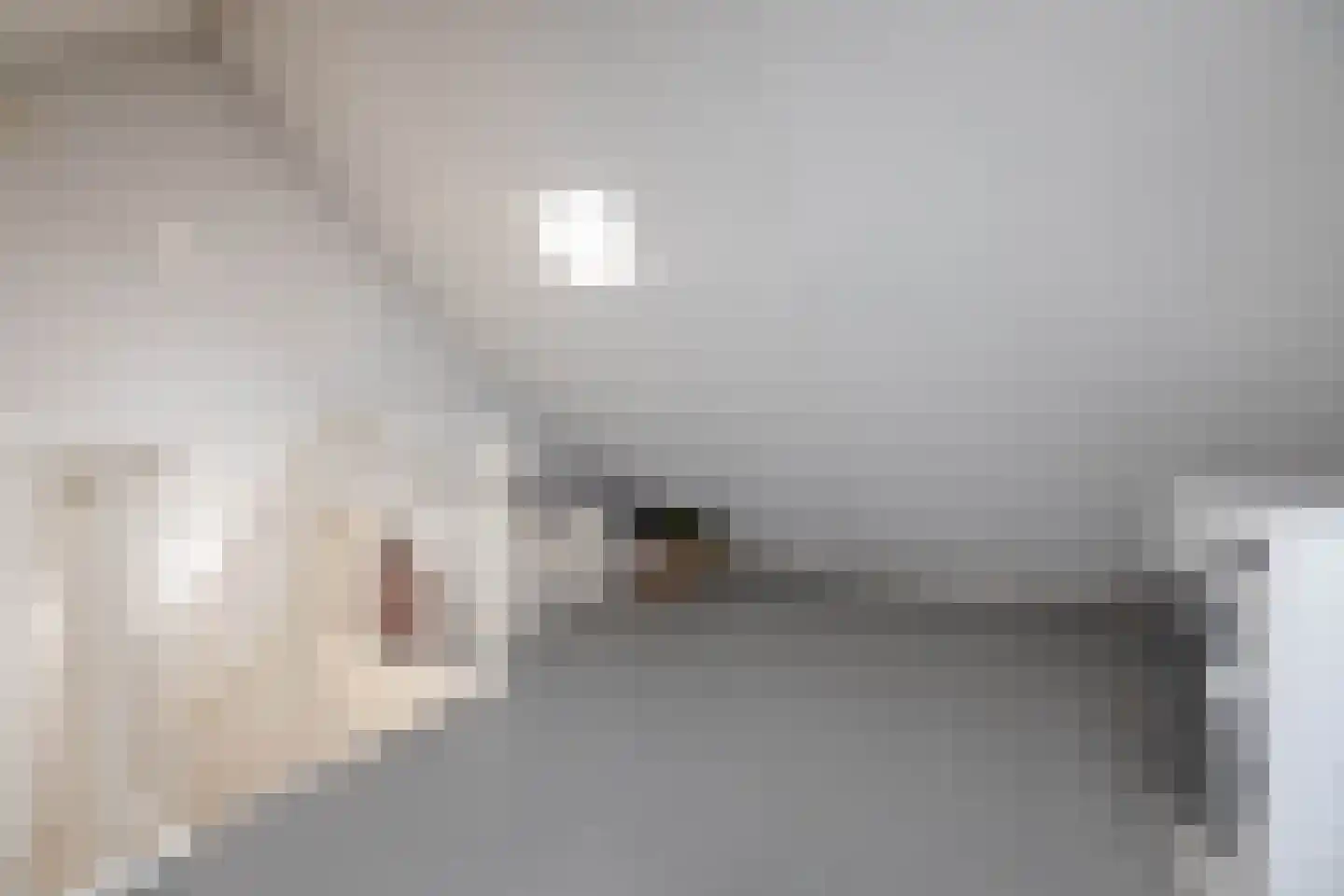Nijstad 34 Borne thumbnail 19