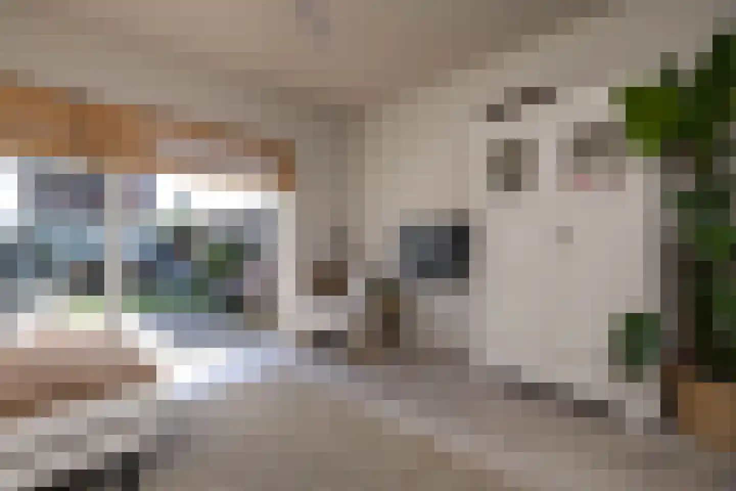 Nijstad 34 Borne thumbnail 21