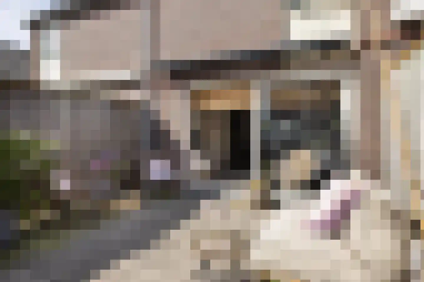 Nijstad 34 Borne thumbnail 25