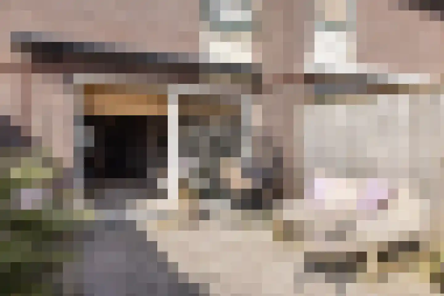 Nijstad 34 Borne thumbnail 26