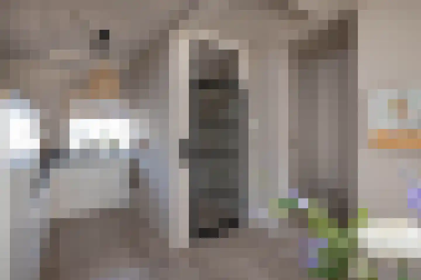 Nijstad 34 Borne thumbnail 9