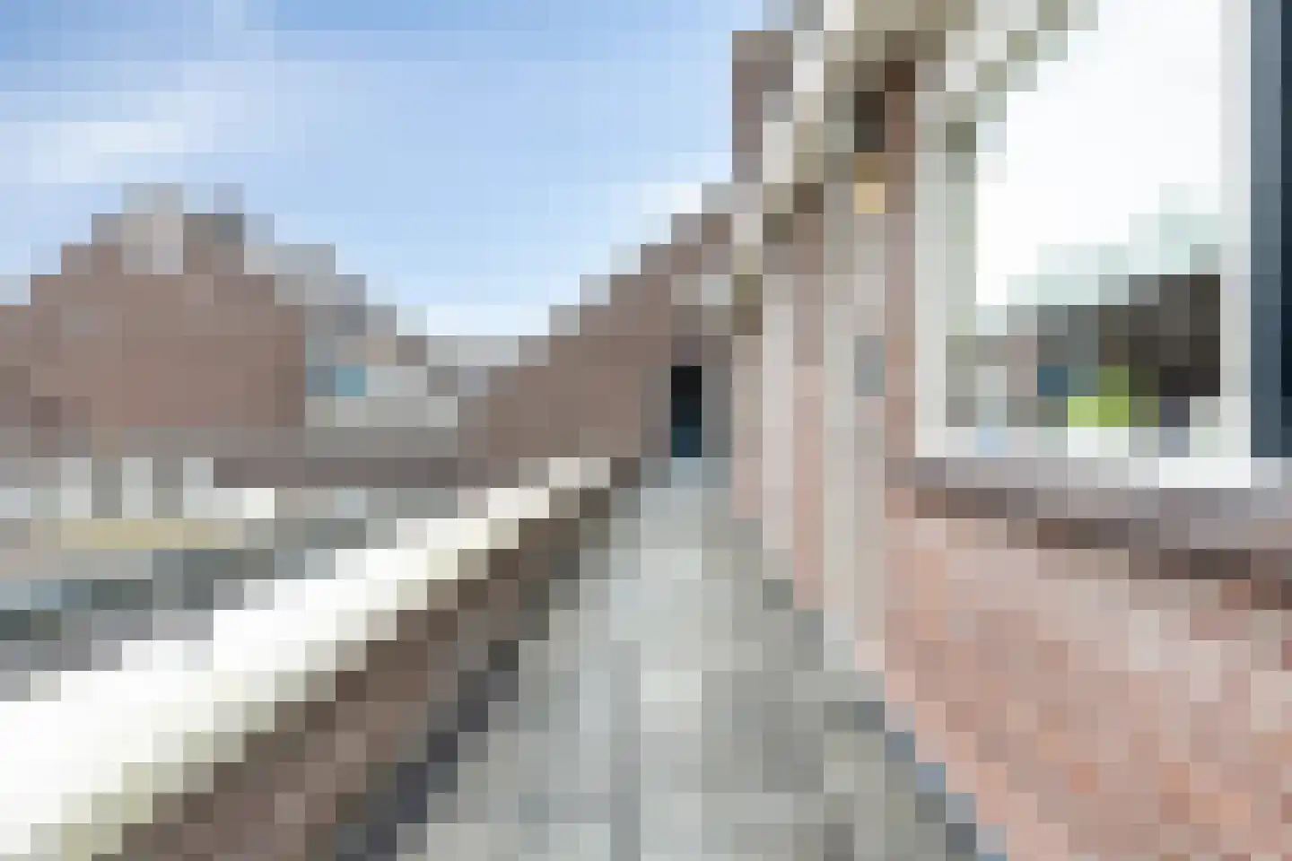Nijstad 60 Borne thumbnail 17